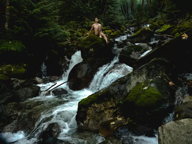 forest fall by 4_arms