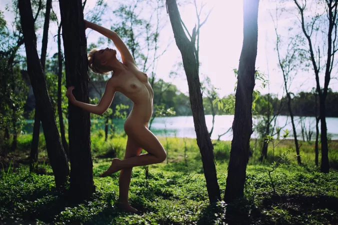 Forest Lake by rbauer0285