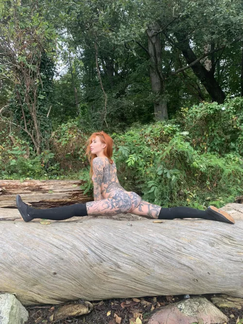 Forest splits ! by lulushortfor