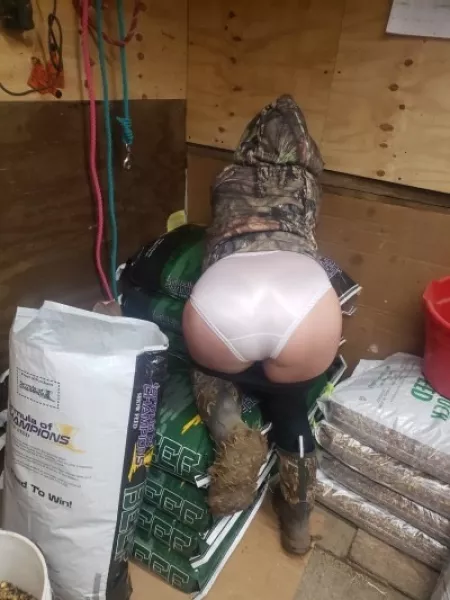 Formula of Champions by kap2007