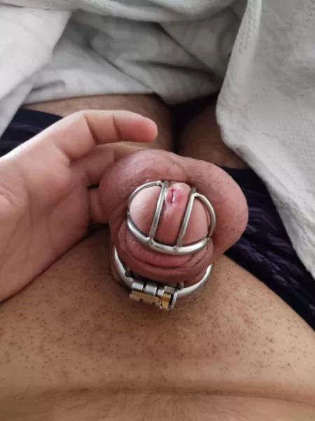 Found a gf who's into chastity play and she's told me we'd start with a 3-week lock up, I'm feeling so lucky 💞 by user3346