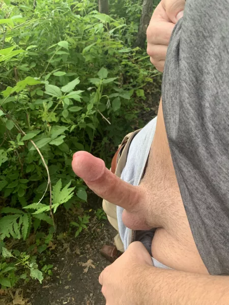 found a 🐻 in the woods by publicpierced