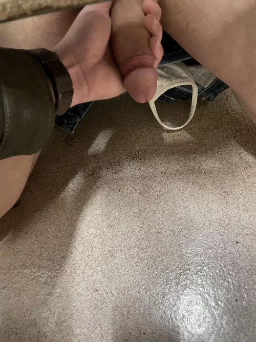 Found another nice one at the rest area by altfox258