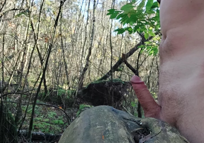 Found some wood by DirtyDutchMind