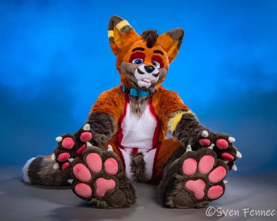 Fox and Paws 🦊🐾 Photo taken by me. by TheSvenFennec