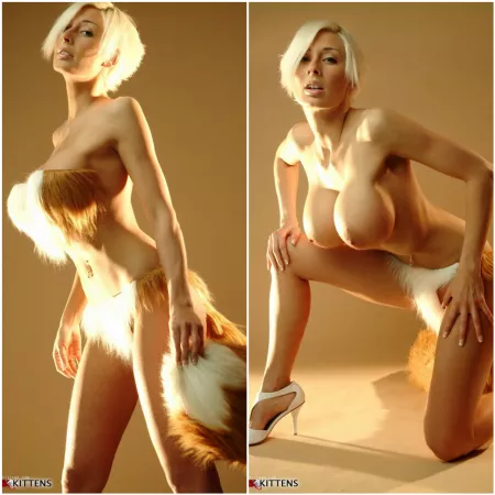 Fox Cosplay On/Off by Marie Claude Bourbonnais by [deleted]