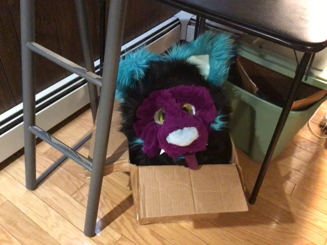 Fox in a box :3- by Proto_Fox