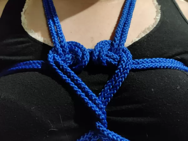 Foxo with heart harness by Open-Rooster1099