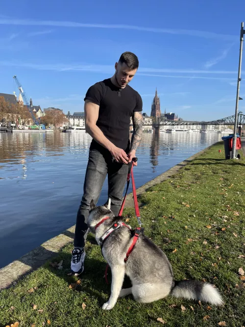 Frankfurt 🇩🇪 by Max_barz