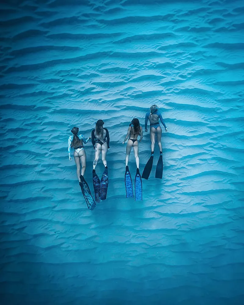 Freedivers posted by bikinireef