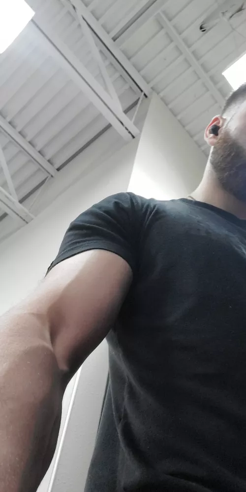 Fresh gym pump by SCTbass