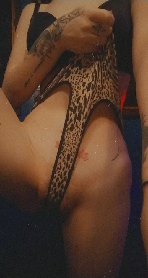 Fresh in the community looking for ATTENTION! by wyldechildjinx