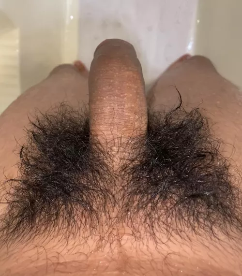 fresh out of the shower ;) by jovybastida