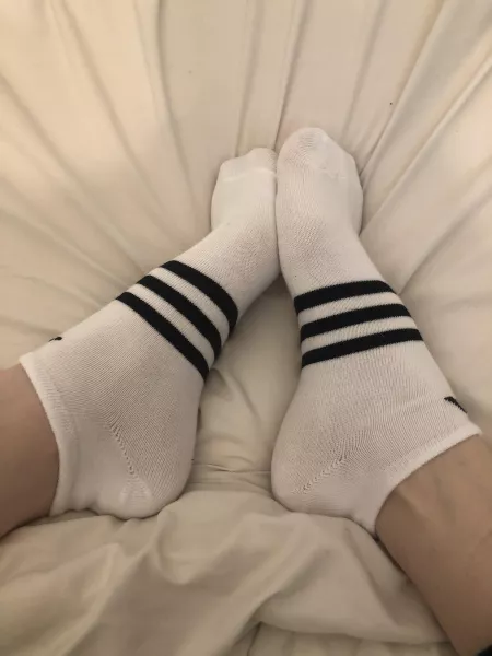 Fresh Sox 👌 by Ok_Razzmatazz_7019