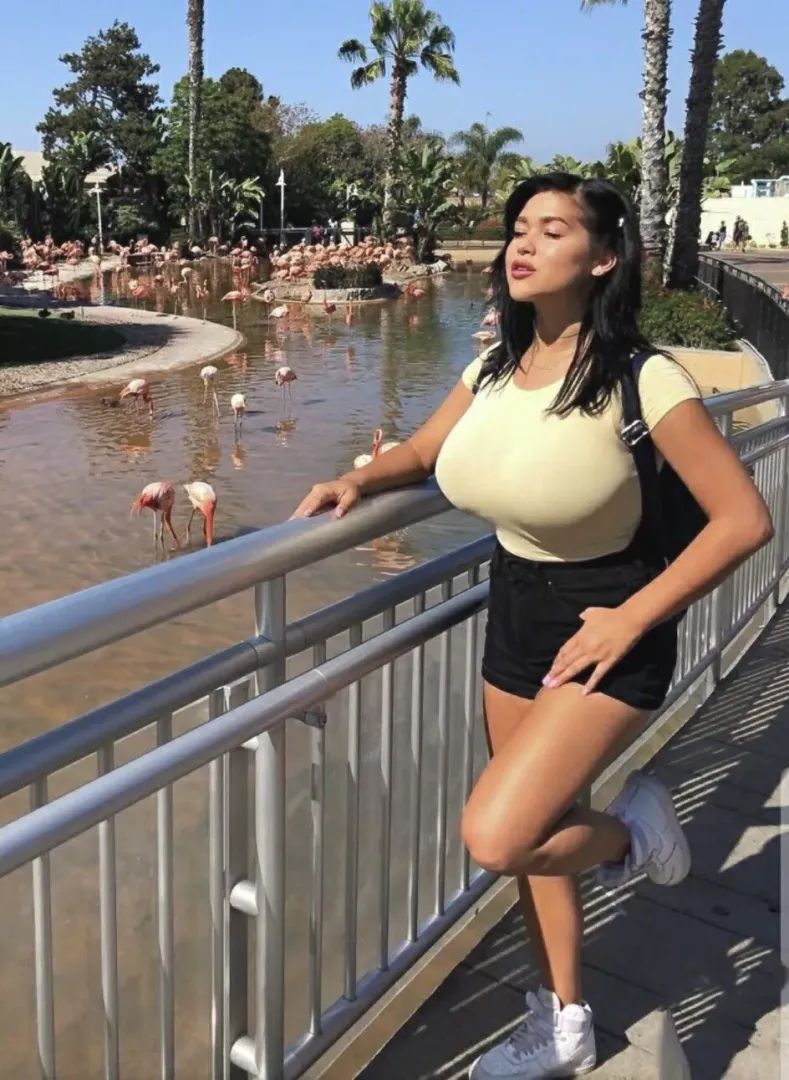 Fresher Stretcher posted by VidockX