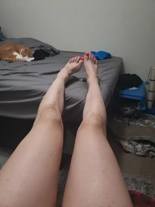 Freshly pedicured size 12s by Mantis_Toboggan666