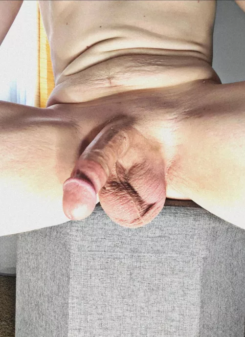 Freshly Shaved by hungwhitedick420