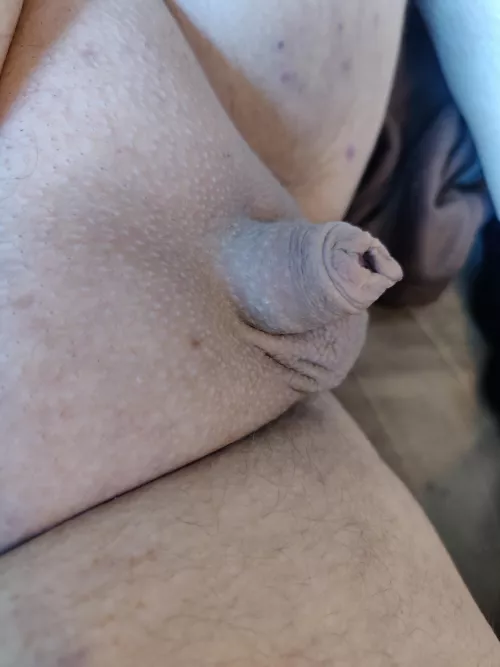Freshly shaved. What so you think? DMs and Chat welcome. (35) by Akent_T