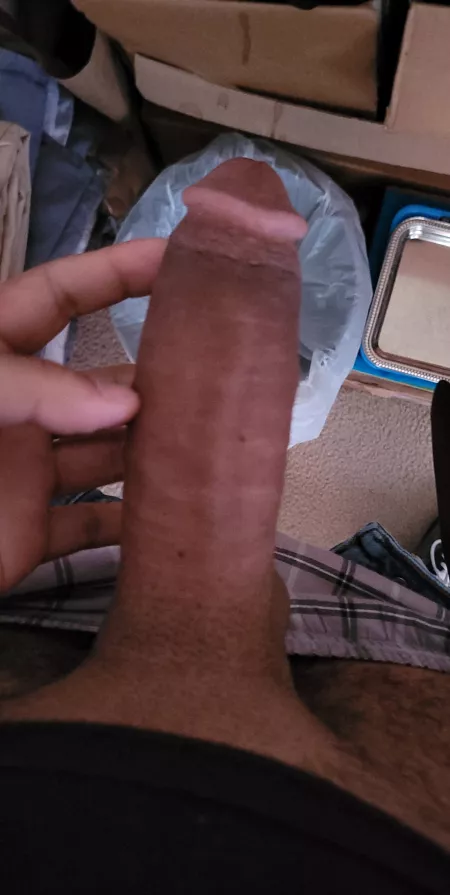 Friday funday! by Alvar18