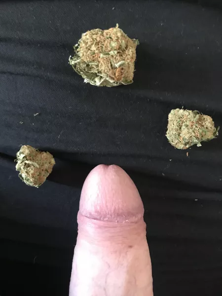 Friday high day :) [m] by firepubesgw