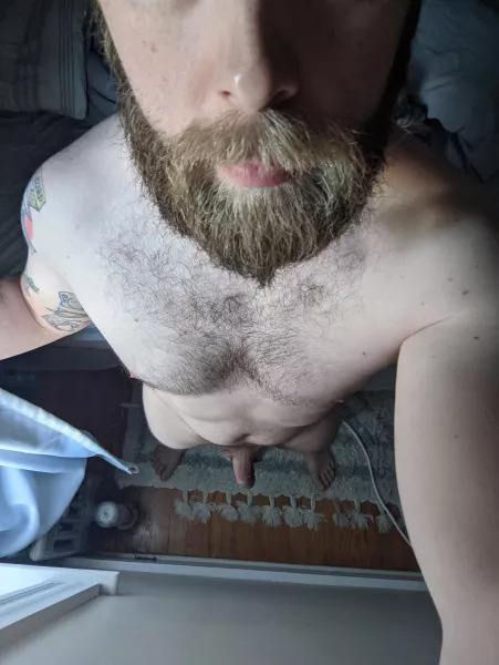 Friday morning light just hits different. I hope my neighbors didn't mind. by likezoinksscoooob