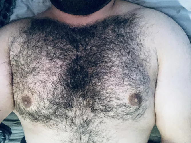 Friday night cuddles. by hirsutebear