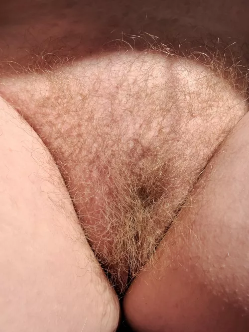 Fridays are for full bushes by Violetwestwood