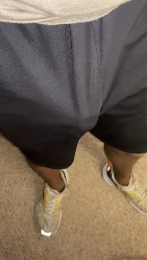 Friendly Neighbor by sneuxfawx