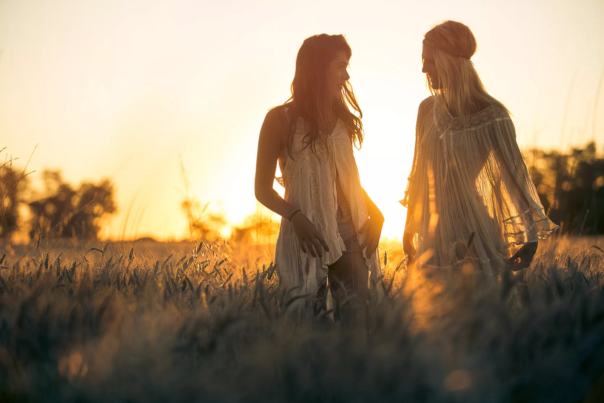 Friends in the field posted by jolioshmolio