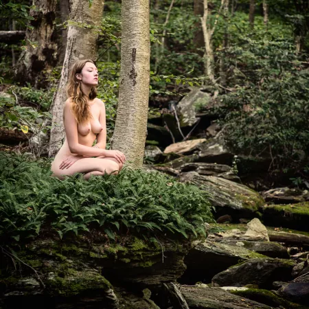 From a land of dreams by paredocks