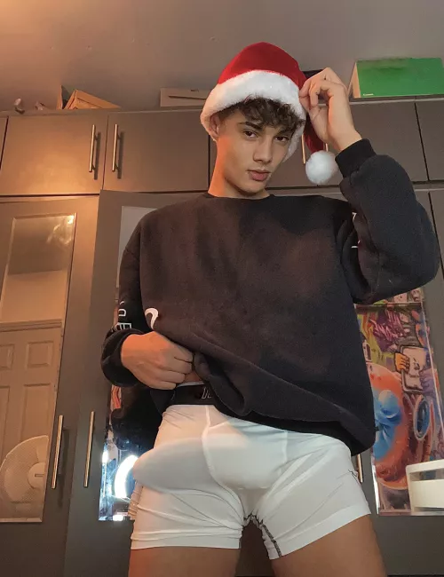 From christmas! by thiboyo