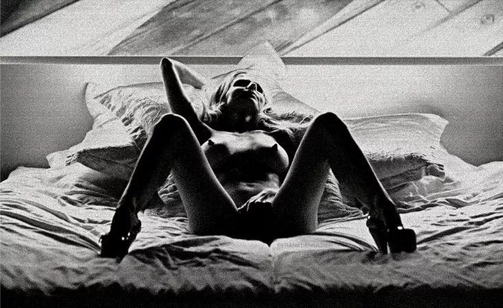 From Frank de Mulder by fill_it_with_cream