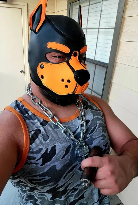 From the other day awoo ! by Cubsmokes