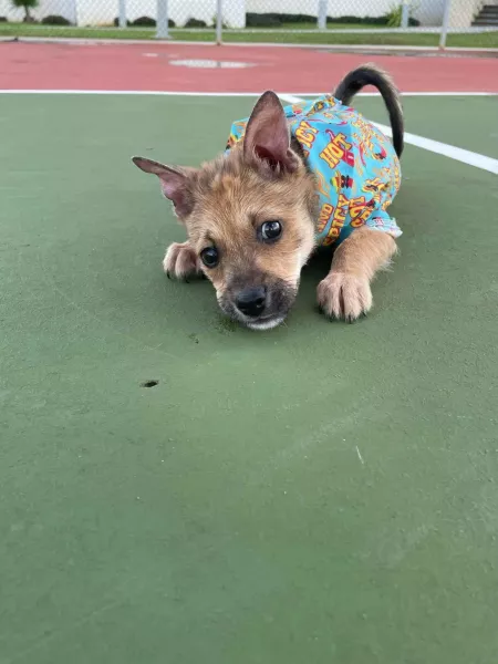 from the streets of Guam by OfficeSpaceRocks