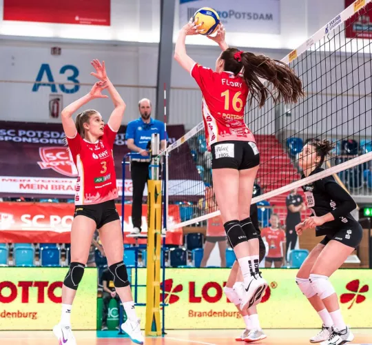 front and rear views by 1orangetiger