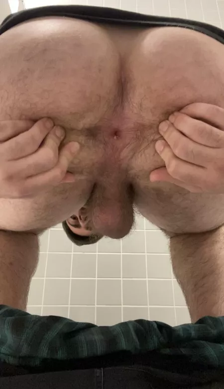 Front row seats by King_Mattx