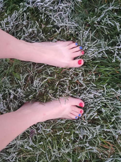 Frosty morning ! by Kelstayce