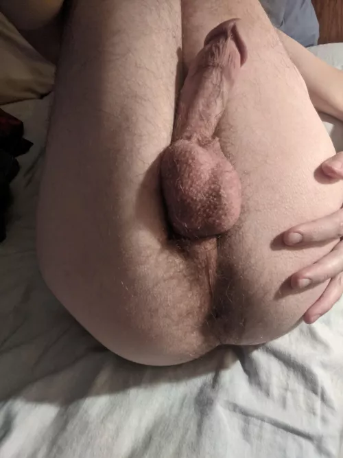 Fuck me by Willington_Satherby