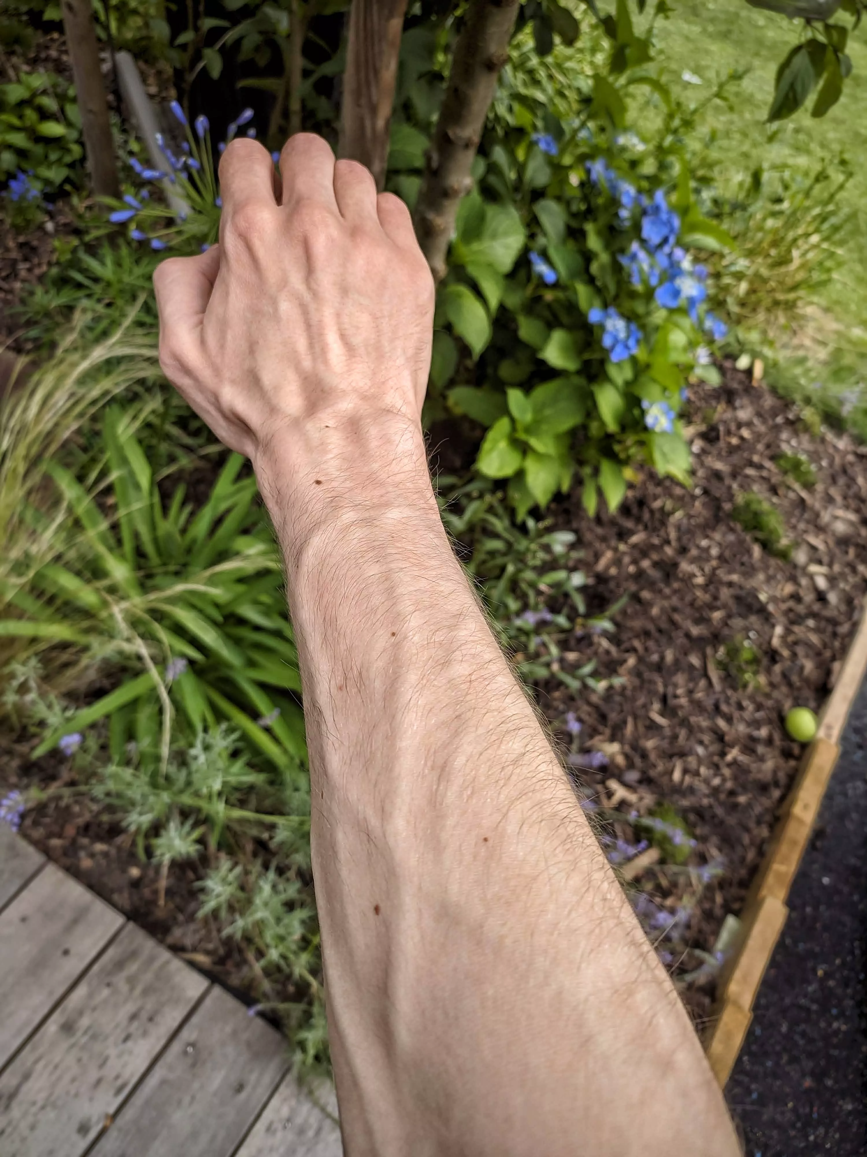 Fueling up some Vitamin D posted by TilmitderBrill