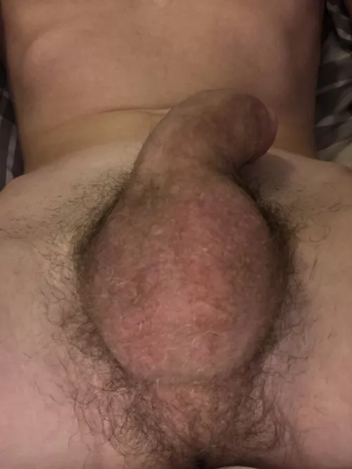 Full and hairy by Swimming-Listen7294