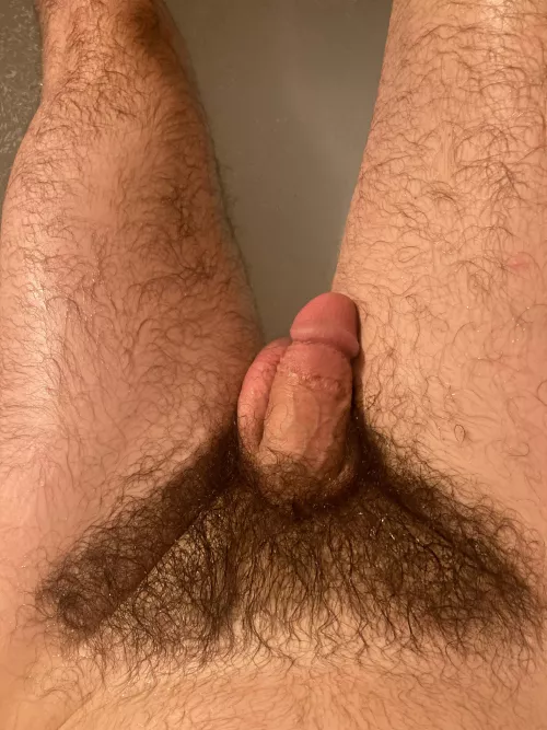 Full bush always, never shave never trim 👍 by theboyisalobster