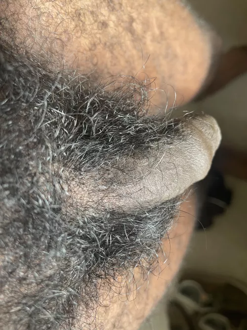 Full bush for sure by TD4BAY