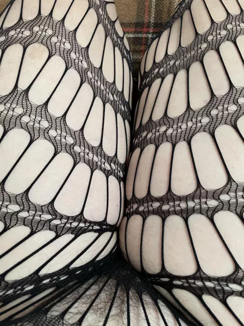 Full bush in Crotchless fishnets anyone? by fairandhairy