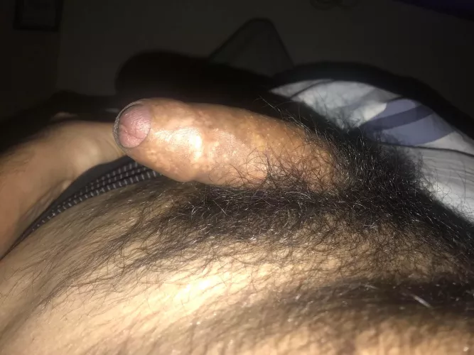 Full bush by sminty2000