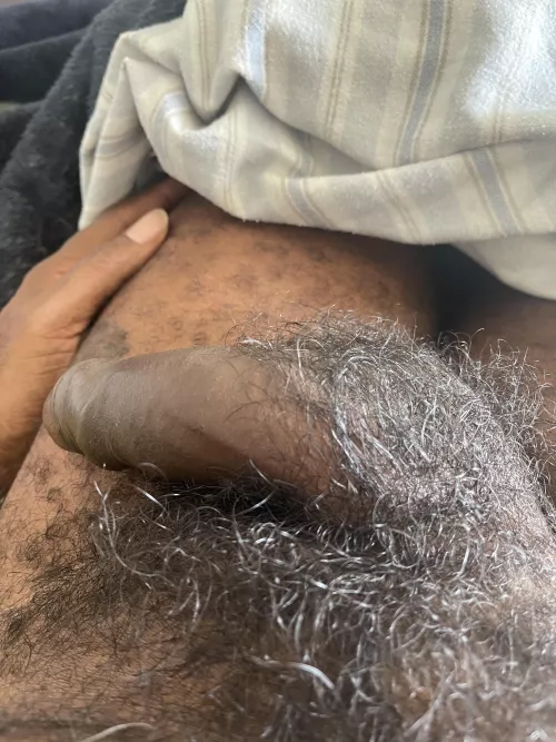 Full pubes by TD4BAY