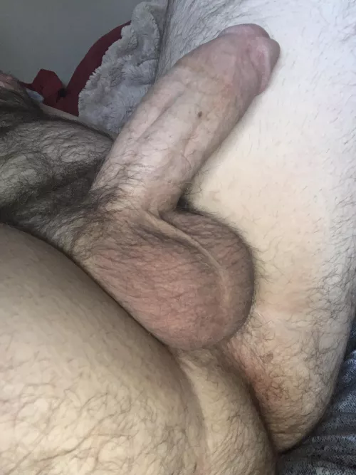 Full Sack by Forward-Survey-3188