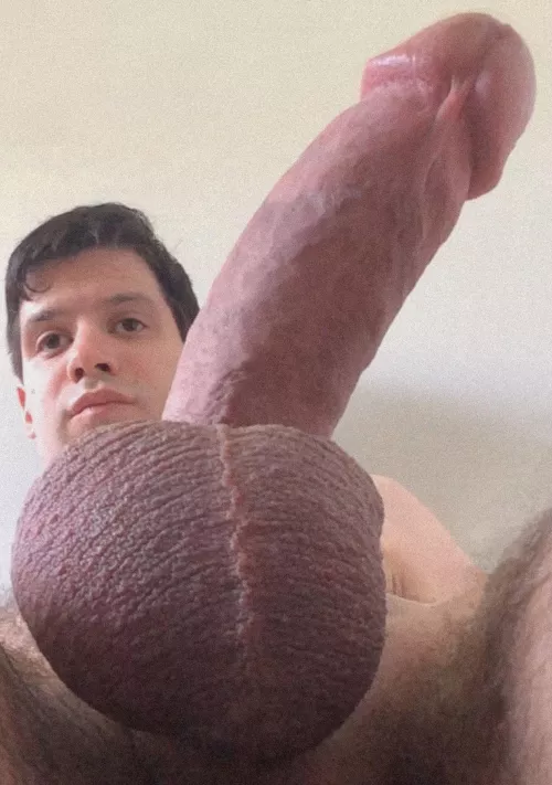 Fun girls deserve big dicks! by abigboynow