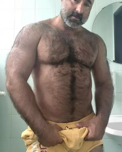 furball by peludoporfavor