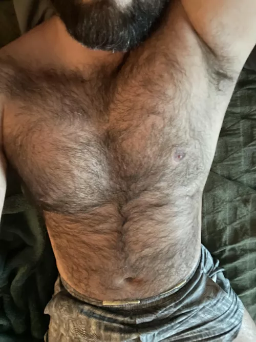 Furry bear by miami_111_handsome32