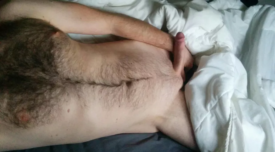 Furry fella by Streethawk00